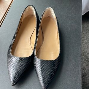 Ugg collection flats